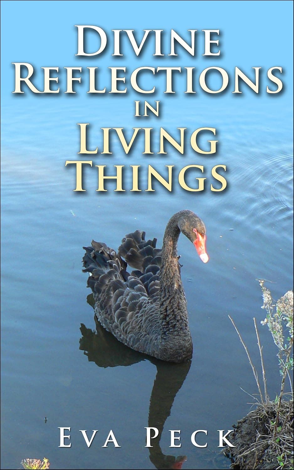 Divine Reflections: Living Things